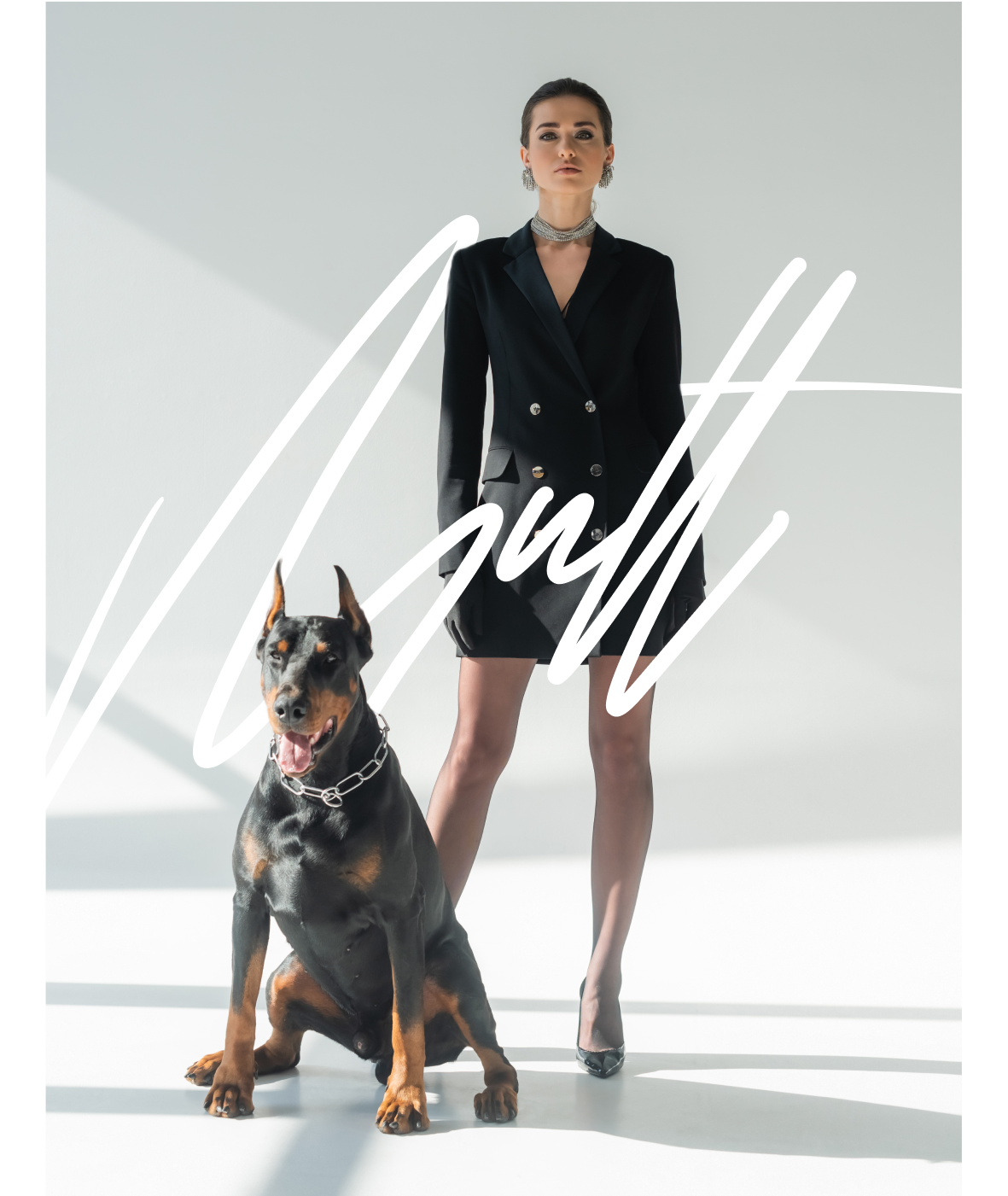LOUIE hero image
